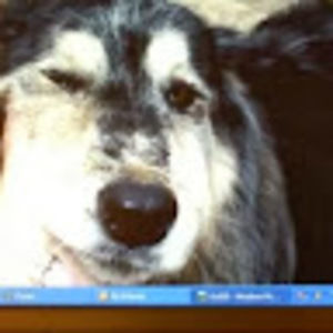 Meet your Posher, Teresa